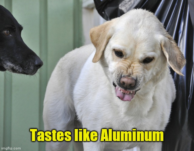 bad taste mouth dog | Tastes like Aluminum | image tagged in bad taste mouth dog | made w/ Imgflip meme maker