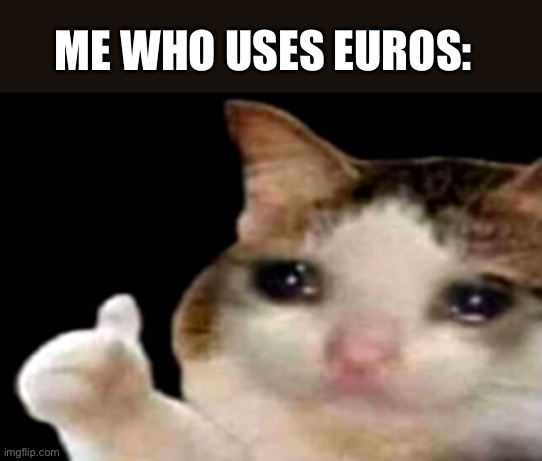 Sad cat thumbs up | ME WHO USES EUROS: | image tagged in sad cat thumbs up | made w/ Imgflip meme maker