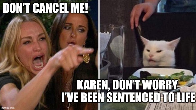 Woman yelling at cat | DON’T CANCEL ME! KAREN, DON’T WORRY              I’VE BEEN SENTENCED TO LIFE | image tagged in woman yelling at cat | made w/ Imgflip meme maker