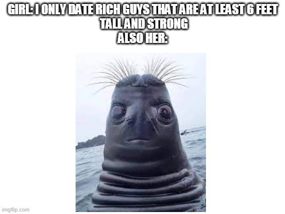 Blank White Template | GIRL: I ONLY DATE RICH GUYS THAT ARE AT LEAST 6 FEET
 TALL AND STRONG
ALSO HER: | image tagged in blank white template | made w/ Imgflip meme maker