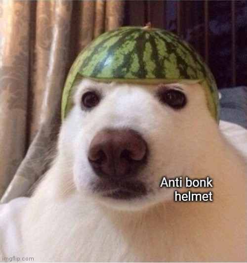 Anti bonk helmet | image tagged in anti bonk helmet | made w/ Imgflip meme maker