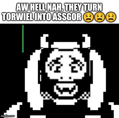 undertale names are hard to make retarded | AW HELL NAH, THEY TURN TORWIEL INTO ASSGOR 😫😫😫 | image tagged in memes,undertale | made w/ Imgflip meme maker
