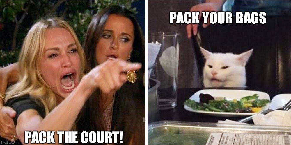 Pack the court | PACK YOUR BAGS; PACK THE COURT! | image tagged in smudge the cat | made w/ Imgflip meme maker