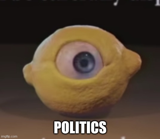 Shocked Omega Mart Lemon | POLITICS | image tagged in shocked omega mart lemon | made w/ Imgflip meme maker