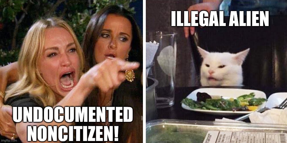 Immigration | ILLEGAL ALIEN; UNDOCUMENTED NONCITIZEN! | image tagged in smudge the cat,illegal immigration | made w/ Imgflip meme maker