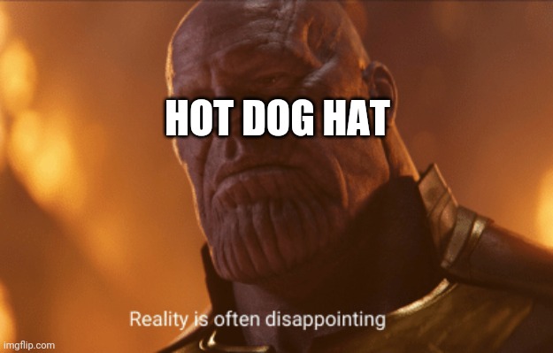 Still can't believe it's just a normal hat with a picture of a hotdog | HOT DOG HAT | image tagged in reality is often dissapointing | made w/ Imgflip meme maker
