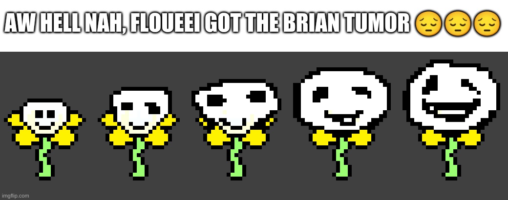 should this be the last one? | AW HELL NAH, FLOUEEI GOT THE BRIAN TUMOR 😔😔😔 | image tagged in memes,undertale | made w/ Imgflip meme maker