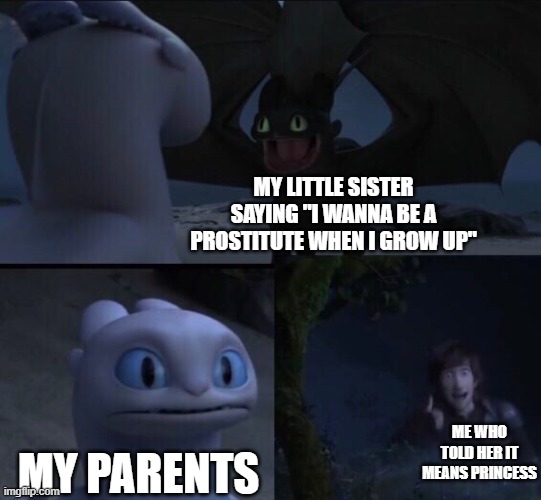How to train your dragon 3 | MY LITTLE SISTER SAYING "I WANNA BE A PROSTITUTE WHEN I GROW UP"; ME WHO TOLD HER IT MEANS PRINCESS; MY PARENTS | image tagged in how to train your dragon 3 | made w/ Imgflip meme maker