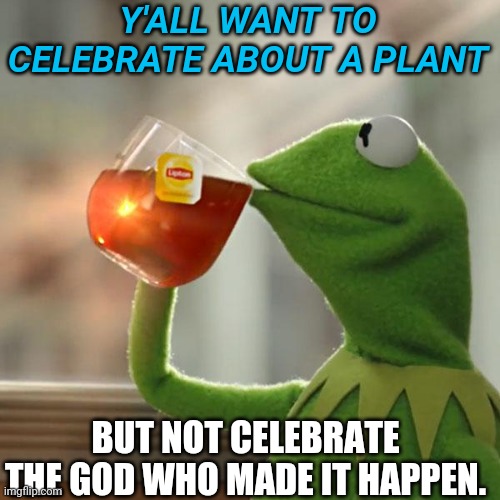 But That's None Of My Business | Y'ALL WANT TO CELEBRATE ABOUT A PLANT; BUT NOT CELEBRATE THE GOD WHO MADE IT HAPPEN. | image tagged in memes,but that's none of my business,kermit the frog | made w/ Imgflip meme maker