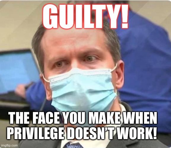 Derek Chauvin found guilty of murder, manslaughter in the death of George Floyd! | GUILTY! THE FACE YOU MAKE WHEN PRIVILEGE DOESN’T WORK! | image tagged in george floyd,racist pig,derek chauvin,guilty,white privilege,bad cop | made w/ Imgflip meme maker