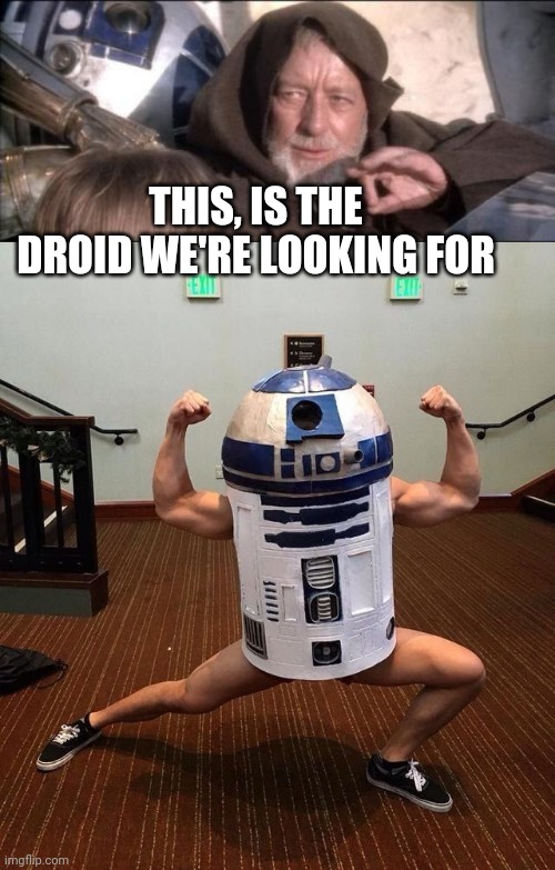 SUPER R2! | THIS, IS THE DROID WE'RE LOOKING FOR | image tagged in memes,these aren't the droids you were looking for,star wars,star wars meme,cosplay | made w/ Imgflip meme maker