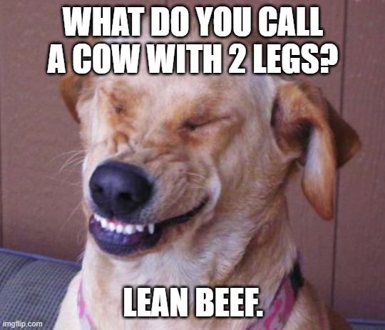 WHAT DO YOU CALL A COW WITH 2 LEGS? LEAN BEEF. | made w/ Imgflip meme maker