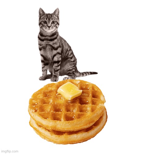Blank Transparent Square Meme | image tagged in memes,blank transparent square | made w/ Imgflip meme maker