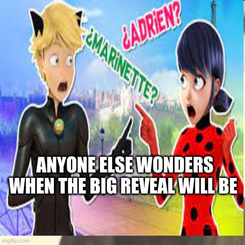Milady and catnoir revealed? | ANYONE ELSE WONDERS WHEN THE BIG REVEAL WILL BE | image tagged in miraculous ladybug | made w/ Imgflip meme maker