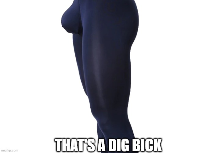 That's a Dig Bick | THAT'S A DIG BICK | image tagged in big dick,dig bick | made w/ Imgflip meme maker