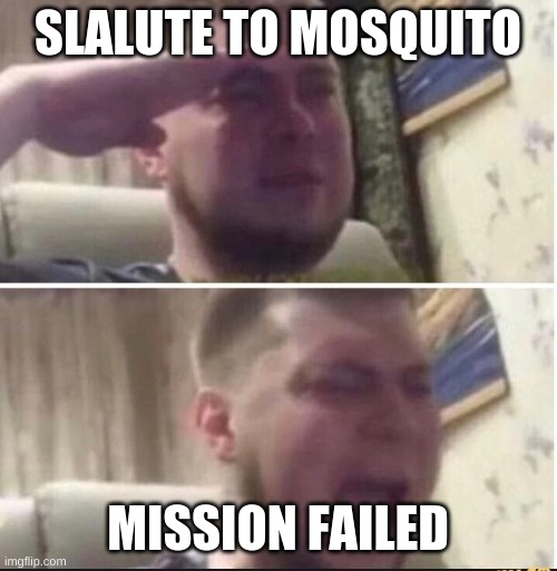Crying salute | SLALUTE TO MOSQUITO MISSION FAILED | image tagged in crying salute | made w/ Imgflip meme maker