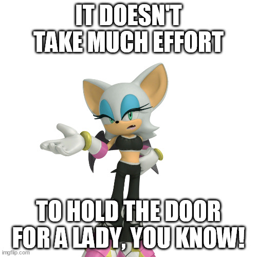 Sometimes, being polite is very easy | IT DOESN'T TAKE MUCH EFFORT; TO HOLD THE DOOR FOR A LADY, YOU KNOW! | image tagged in annoyed rouge the bat | made w/ Imgflip meme maker