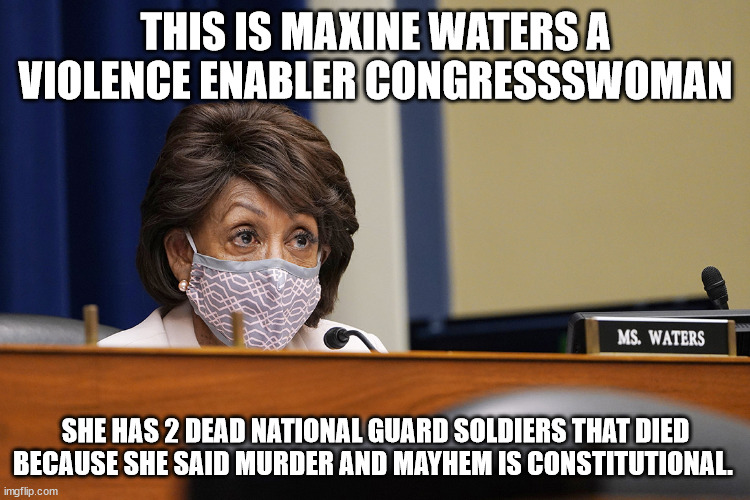 Maxine Waters who advocates for violence and crime | THIS IS MAXINE WATERS A VIOLENCE ENABLER CONGRESSSWOMAN; SHE HAS 2 DEAD NATIONAL GUARD SOLDIERS THAT DIED BECAUSE SHE SAID MURDER AND MAYHEM IS CONSTITUTIONAL. | image tagged in maxine waters,democrats,minnesota,george floyd | made w/ Imgflip meme maker