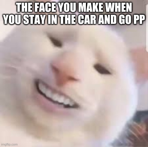 Cursed Cat | THE FACE YOU MAKE WHEN YOU STAY IN THE CAR AND GO PP | image tagged in cursed cat | made w/ Imgflip meme maker