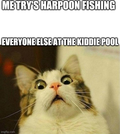 Pool gonna be fun today my dudes |  ME TRY'S HARPOON FISHING; EVERYONE ELSE AT THE KIDDIE POOL | image tagged in memes,scared cat | made w/ Imgflip meme maker