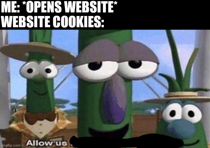 VeggieTales 'Allow us to introduce ourselfs' | ME: *OPENS WEBSITE*
WEBSITE COOKIES: | image tagged in veggietales 'allow us to introduce ourselfs' | made w/ Imgflip meme maker
