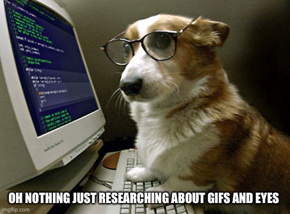 corgi hacker | OH NOTHING JUST RESEARCHING ABOUT GIFS AND EYES | image tagged in corgi hacker | made w/ Imgflip meme maker