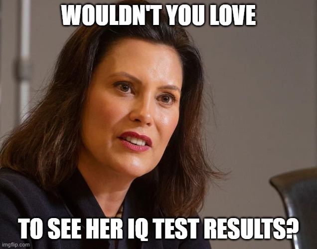 Tell Me How Bright Liberals Are Again (part 13) | WOULDN'T YOU LOVE; TO SEE HER IQ TEST RESULTS? | image tagged in gretchen whitmer governor of michigan,dimwit,liberal,hypocrite,democrat,fear | made w/ Imgflip meme maker