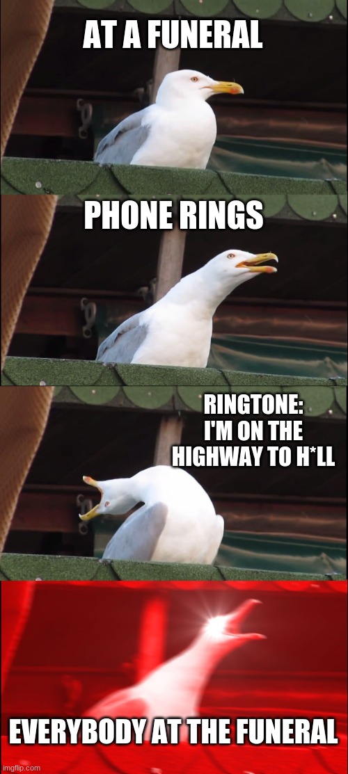 Inhaling Seagull Meme | AT A FUNERAL; PHONE RINGS; RINGTONE: I'M ON THE HIGHWAY TO H*LL; EVERYBODY AT THE FUNERAL | image tagged in memes,inhaling seagull | made w/ Imgflip meme maker