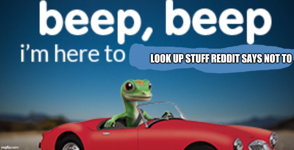 LOOK UP STUFF REDDIT SAYS NOT TO | made w/ Imgflip meme maker