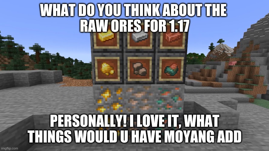 Raw ores 1.17 Minecraft | WHAT DO YOU THINK ABOUT THE 
RAW ORES FOR 1.17; PERSONALLY! I LOVE IT, WHAT THINGS WOULD U HAVE MOYANG ADD | made w/ Imgflip meme maker