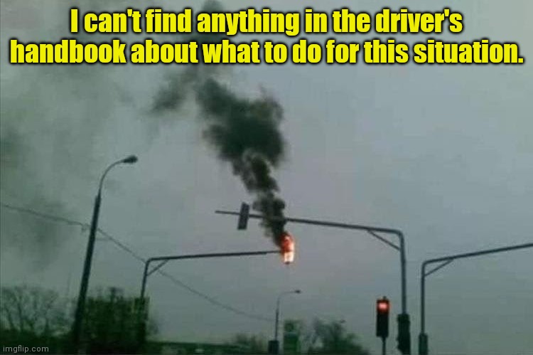 Well, I've never seen that before. | I can't find anything in the driver's handbook about what to do for this situation. | image tagged in funny | made w/ Imgflip meme maker