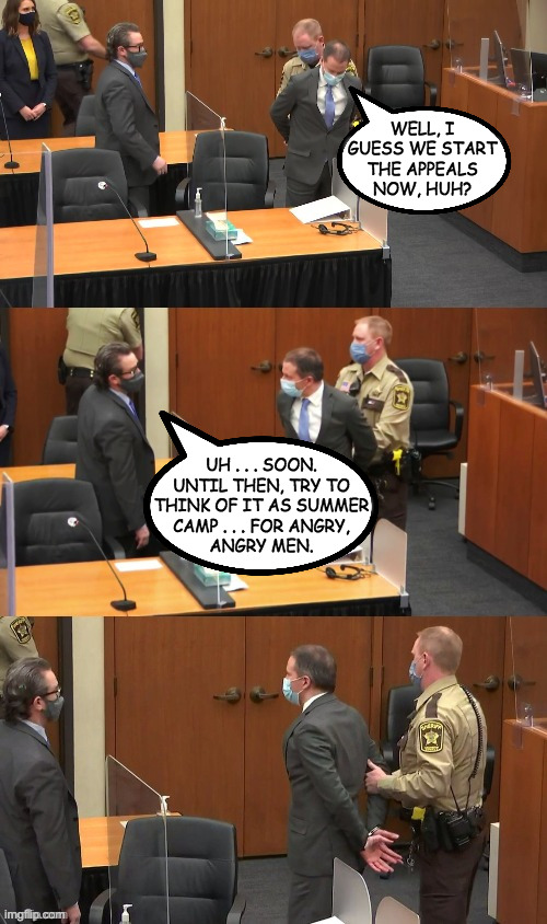 When karma is a lot of angry knees on your neck (thanks to TwoWayMirror for the template) | WELL, I
GUESS WE START
THE APPEALS
NOW, HUH? UH . . . SOON.
UNTIL THEN, TRY TO
THINK OF IT AS SUMMER
CAMP . . . FOR ANGRY,
ANGRY MEN. | image tagged in derek chauvin being taken away,memes,summer camp,daily dose of karma | made w/ Imgflip meme maker