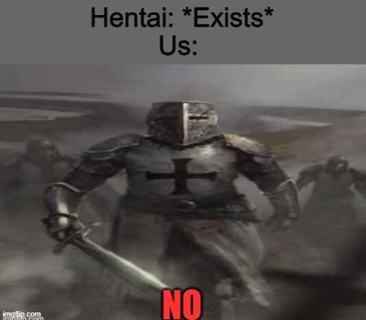 NO HENTAI | Hentai: *Exists*
Us: | image tagged in crusader looking at you saying no | made w/ Imgflip meme maker