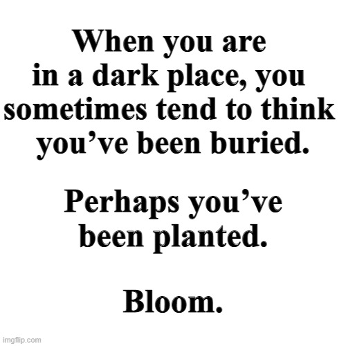 buried? planted? | When you are 
in a dark place, you 
sometimes tend to think 
you’ve been buried. Perhaps you’ve
been planted. Bloom. | image tagged in dark place,inspirational | made w/ Imgflip meme maker