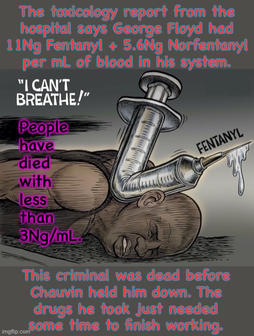 George “Overdose” Floyd | The toxicology report from the
hospital says George Floyd had
11Ng Fentanyl + 5.6Ng Norfentanyl
per mL of blood in his system. People
have
died
with
less
than
3Ng/mL. This criminal was dead before
Chauvin held him down. The
drugs he took just needed
some time to finish working. | image tagged in george floyd,overdose | made w/ Imgflip meme maker