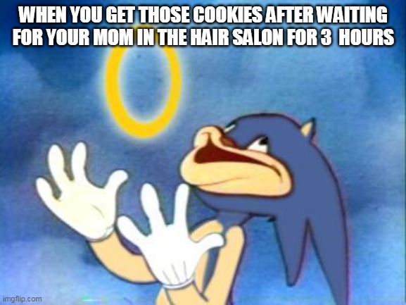 Sanic | WHEN YOU GET THOSE COOKIES AFTER WAITING FOR YOUR MOM IN THE HAIR SALON FOR 3  HOURS | image tagged in sanic | made w/ Imgflip meme maker