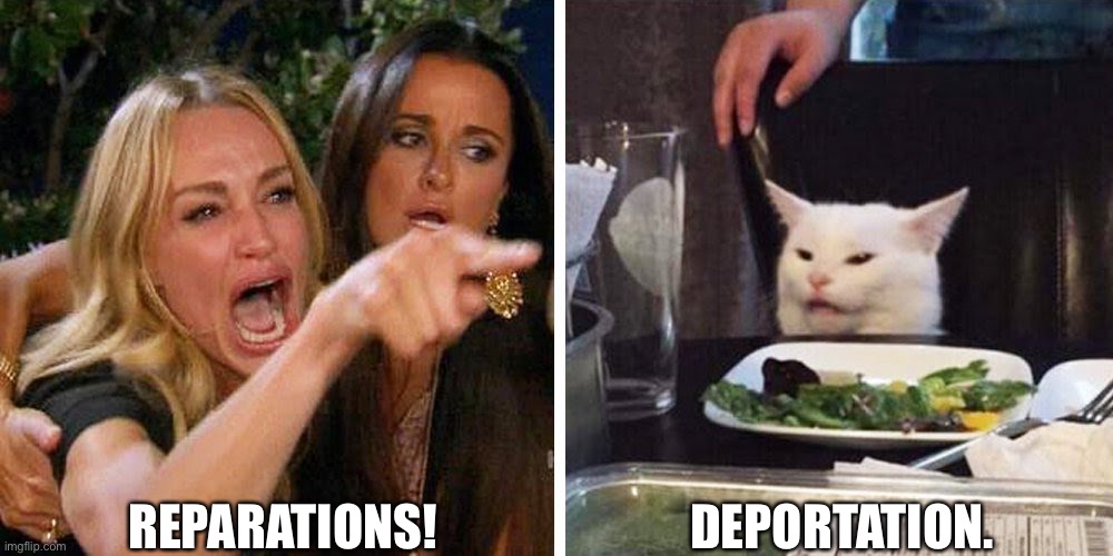 Reparations | REPARATIONS! DEPORTATION. | image tagged in smudge the cat | made w/ Imgflip meme maker