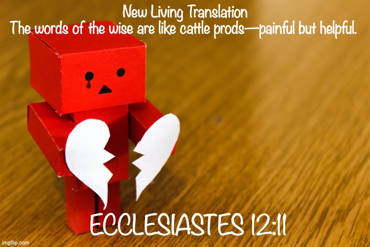 Ouch! | New Living Translation
The words of the wise are like cattle prods—painful but helpful. ECCLESIASTES 12:11 | image tagged in hurt feelings,step on someone's toes,thin-skinned,easily offended,oversensitive | made w/ Imgflip meme maker