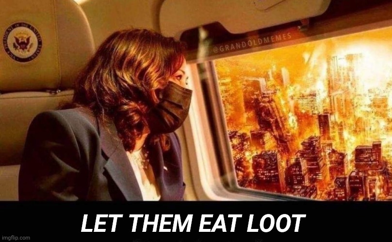 LET THEM EAT LOOT | image tagged in looting,kamala harris,marie antoinette | made w/ Imgflip meme maker