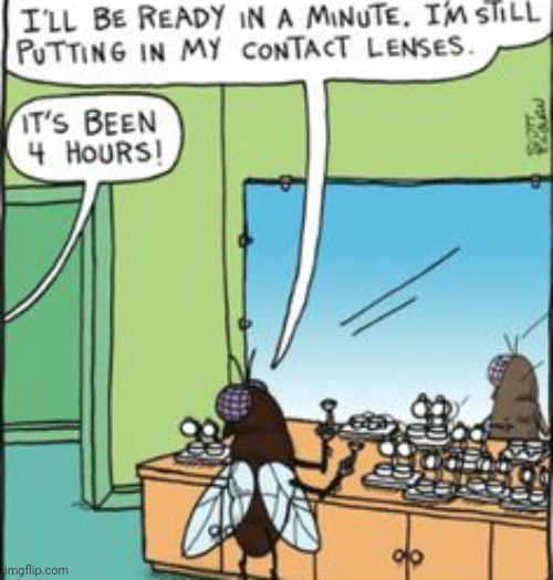 Lol | image tagged in comics/cartoons,insects,funny,flies | made w/ Imgflip meme maker