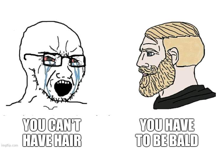 Baldi roasted | YOU HAVE TO BE BALD; YOU CAN'T HAVE HAIR | image tagged in soyboy vs yes chad | made w/ Imgflip meme maker