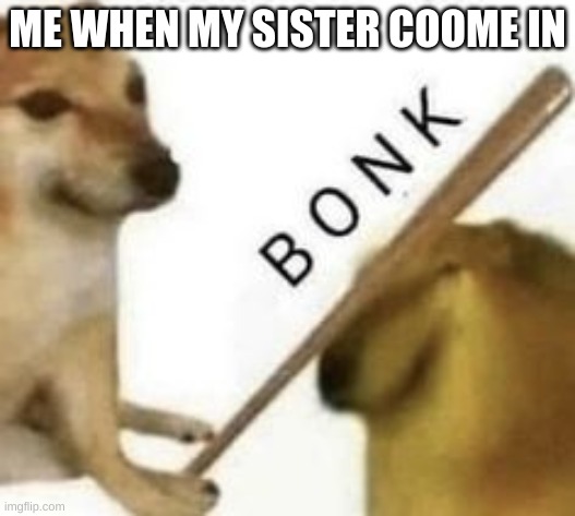 Bonk | ME WHEN MY SISTER COOME IN | image tagged in bonk | made w/ Imgflip meme maker
