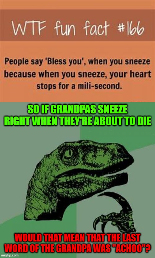 It's dark, but something to think about | SO IF GRANDPAS SNEEZE RIGHT WHEN THEY'RE ABOUT TO DIE; WOULD THAT MEAN THAT THE LAST WORD OF THE GRANDPA WAS "ACHOO"? | image tagged in memes,philosoraptor,grandpa,fun fact,sneeze,dark | made w/ Imgflip meme maker