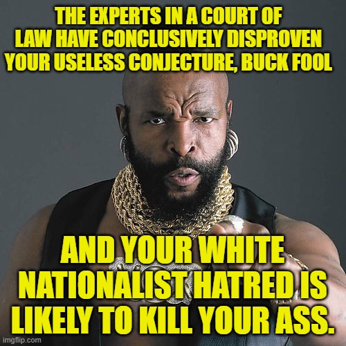Mr T Pity The Fool Meme | THE EXPERTS IN A COURT OF LAW HAVE CONCLUSIVELY DISPROVEN YOUR USELESS CONJECTURE, BUCK FOOL AND YOUR WHITE NATIONALIST HATRED IS LIKELY TO  | image tagged in memes,mr t pity the fool | made w/ Imgflip meme maker