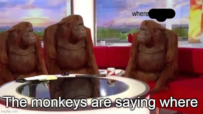 Monkeys are talking where | The monkeys are saying where | image tagged in where banana | made w/ Imgflip meme maker