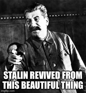 Stalin revived from this beautiful thing | image tagged in stalin revived from this beautiful thing | made w/ Imgflip meme maker