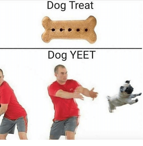 Dog Treat, Dog Yeet Blank Meme Template