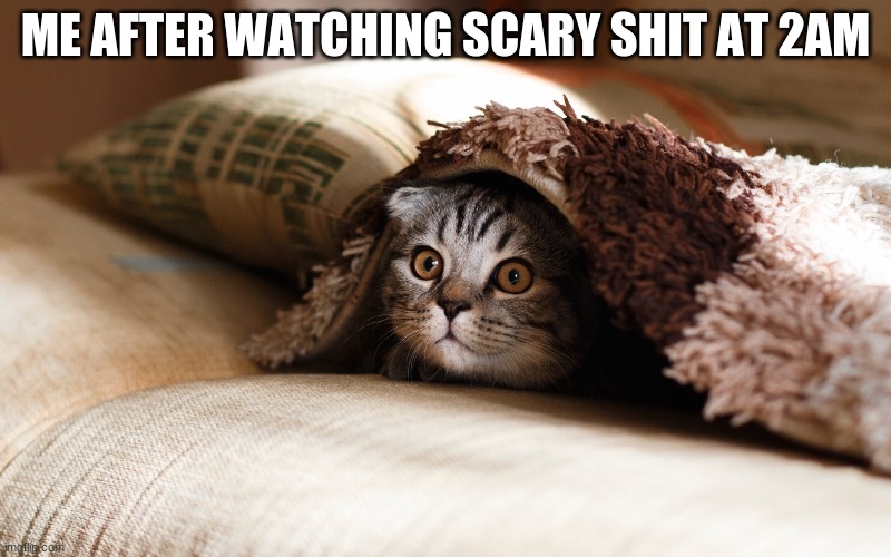 Kitteh under blanket |  ME AFTER WATCHING SCARY SHIT AT 2AM | image tagged in kitteh under blanket,kitty,meme,funny,creepypasta,cat | made w/ Imgflip meme maker