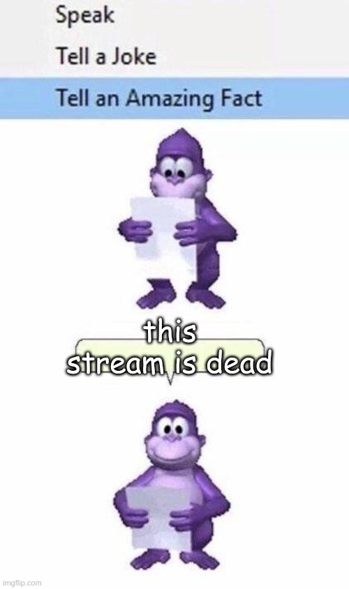 no fr its d  e a d | this stream is dead | image tagged in bonzo tells an amazing fact | made w/ Imgflip meme maker