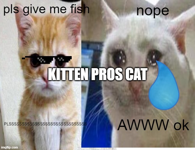 Kitten pros cat | pls give me fish; nope; KITTEN PROS CAT; PLSSSSSSSSSSSSSSSSSSSSSSSSSSSSSS; AWWW ok | image tagged in cats | made w/ Imgflip meme maker